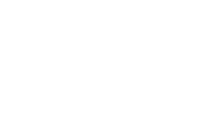 Papillon white logo